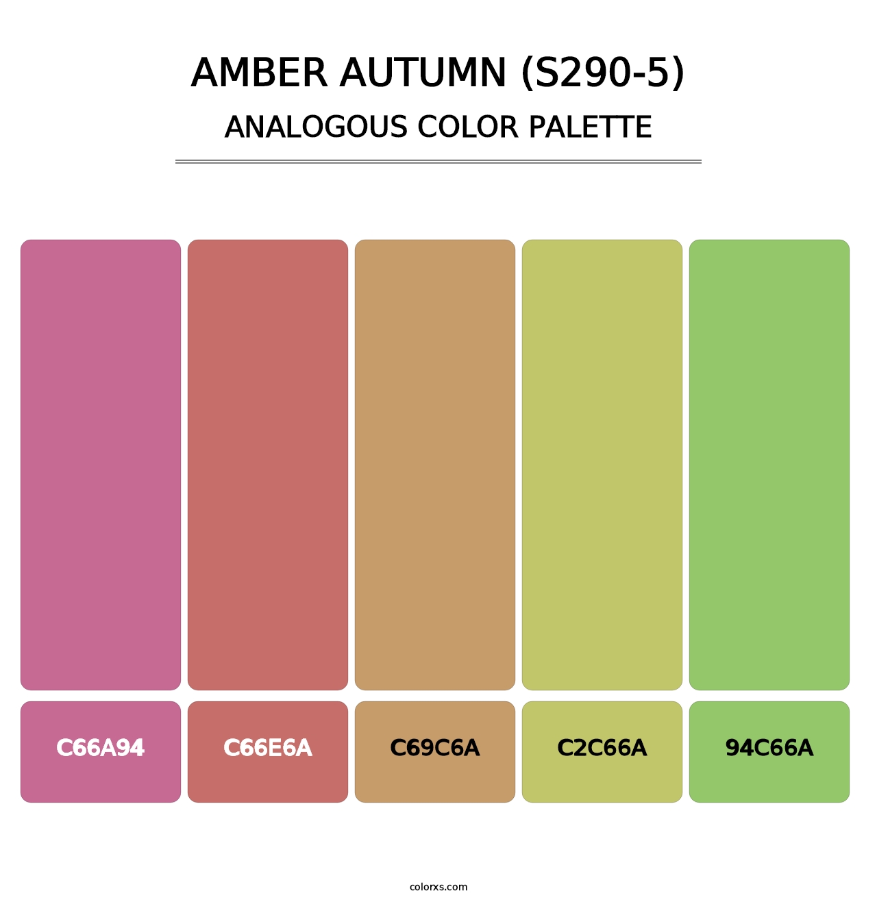 Amber Autumn (S290-5) - Analogous Color Palette