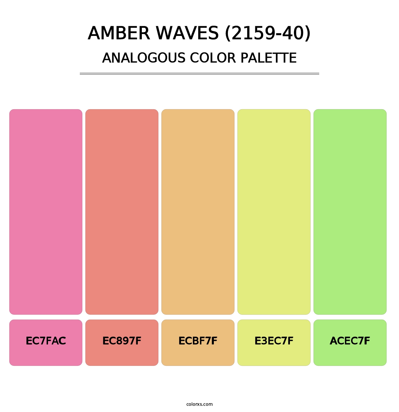Amber Waves (2159-40) - Analogous Color Palette