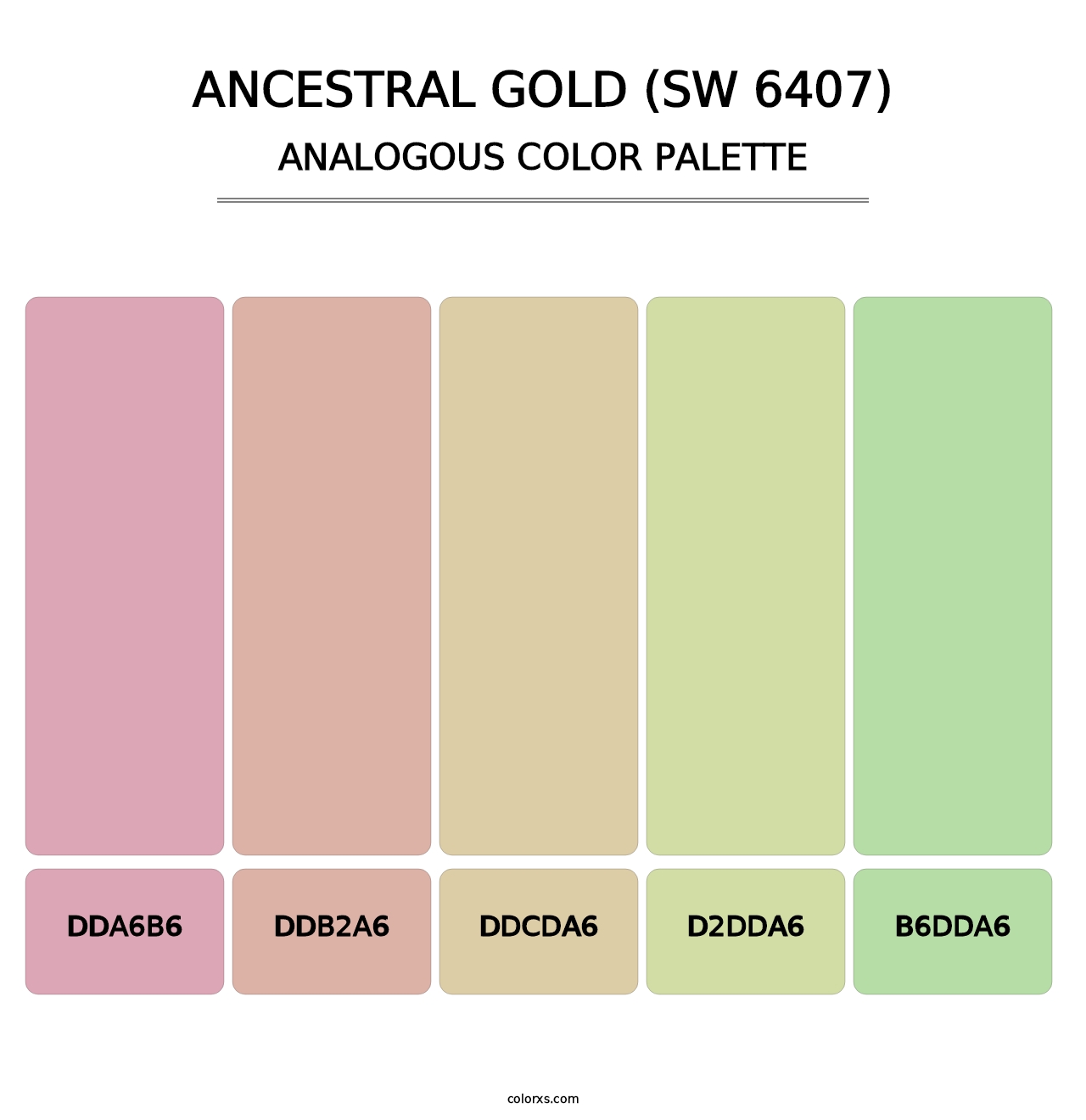 Ancestral Gold (SW 6407) - Analogous Color Palette