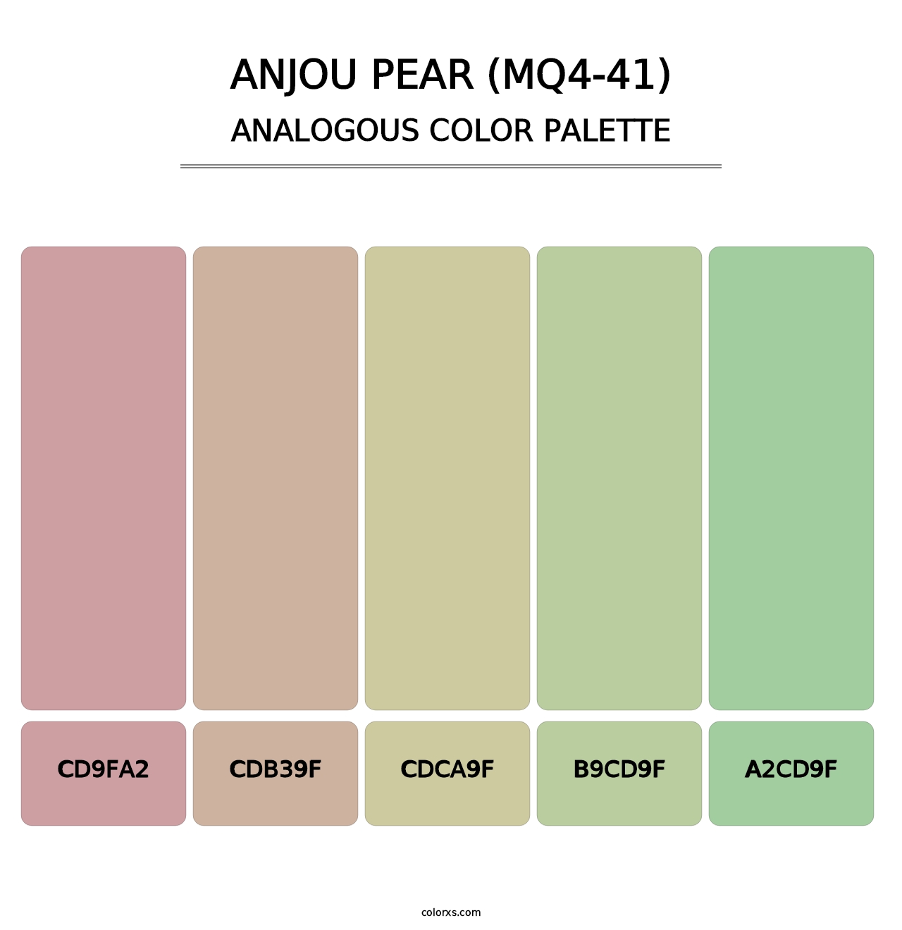 Anjou Pear (MQ4-41) - Analogous Color Palette