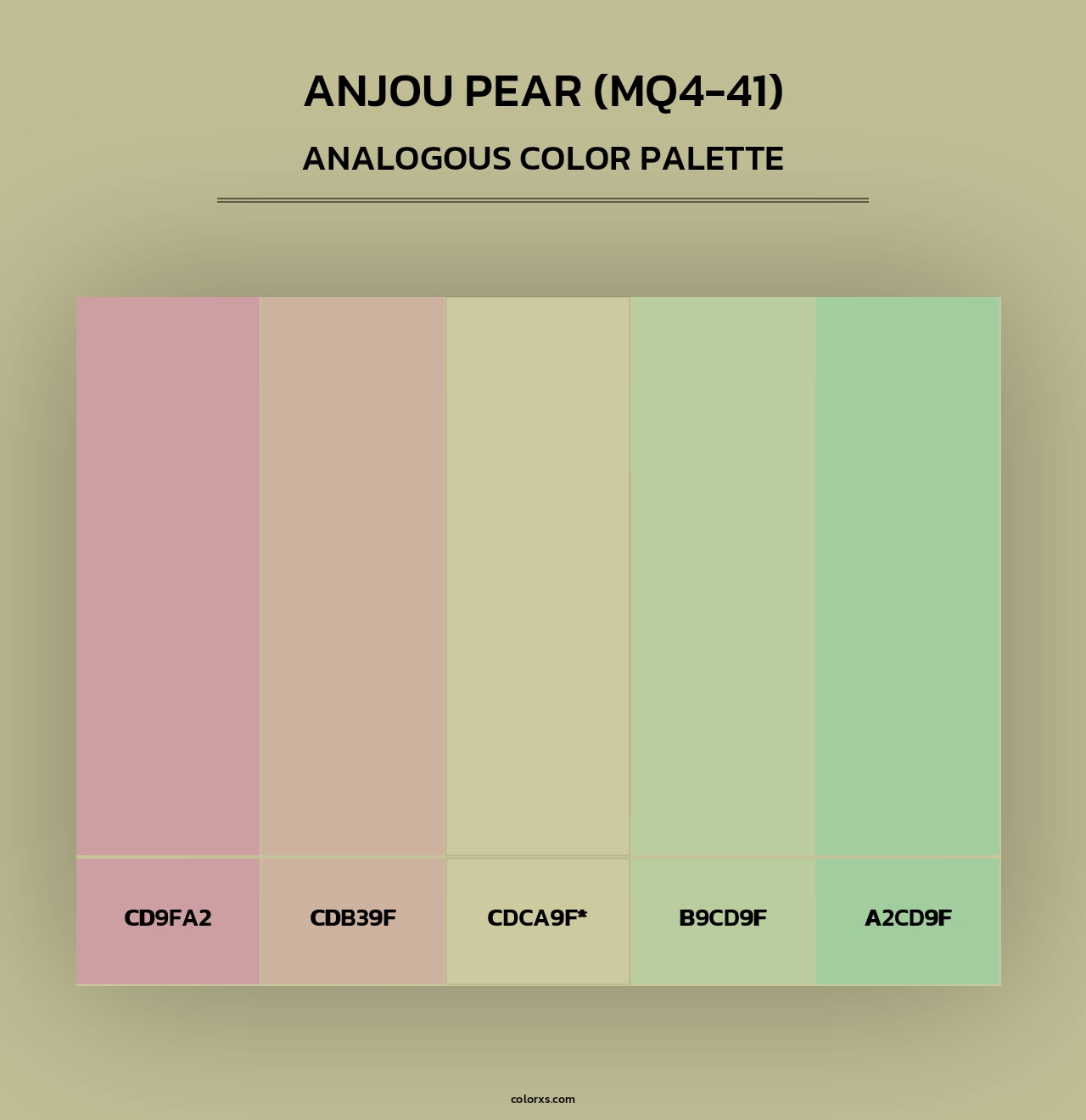 Anjou Pear (MQ4-41) - Analogous Color Palette
