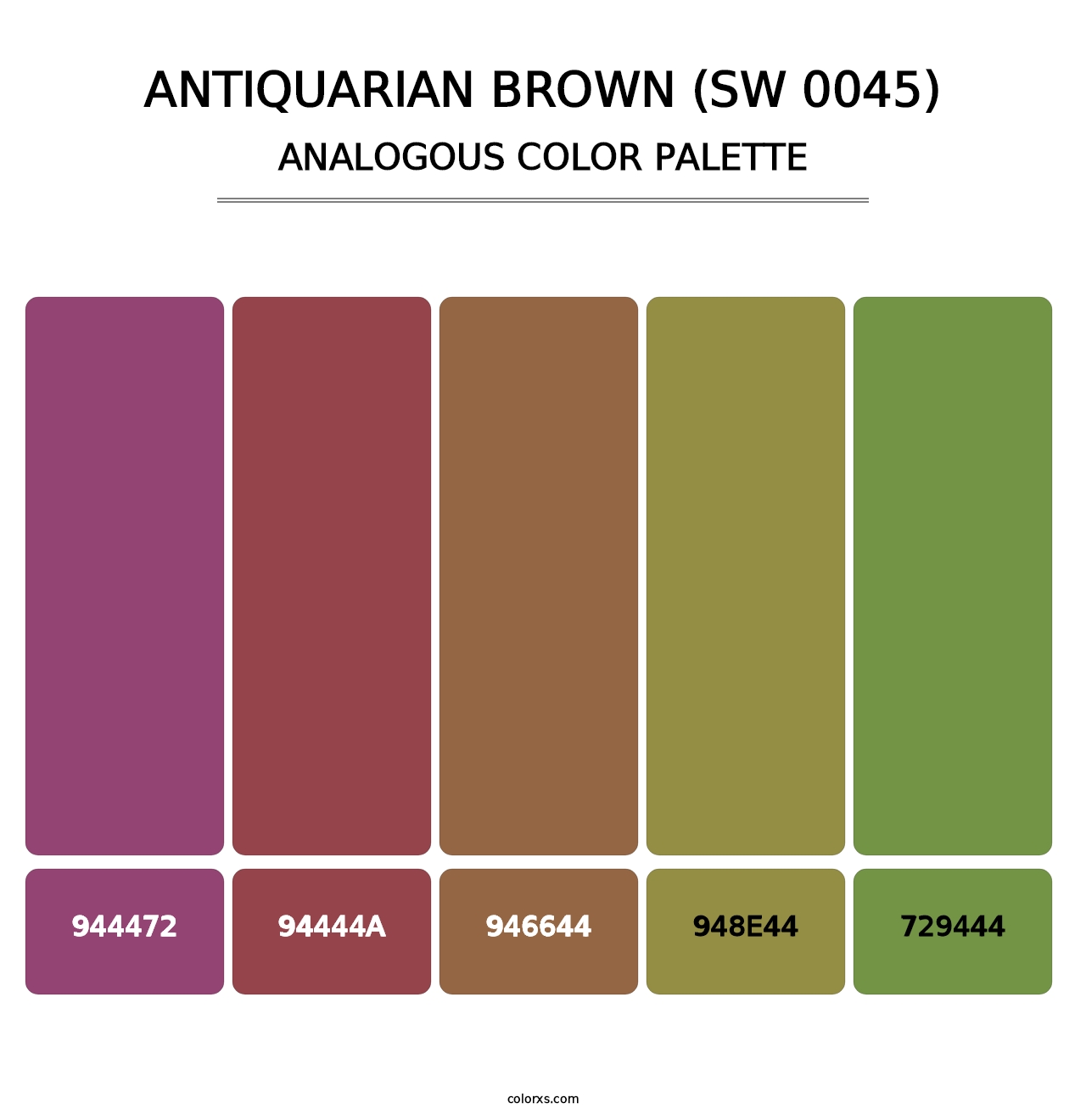 Antiquarian Brown (SW 0045) - Analogous Color Palette