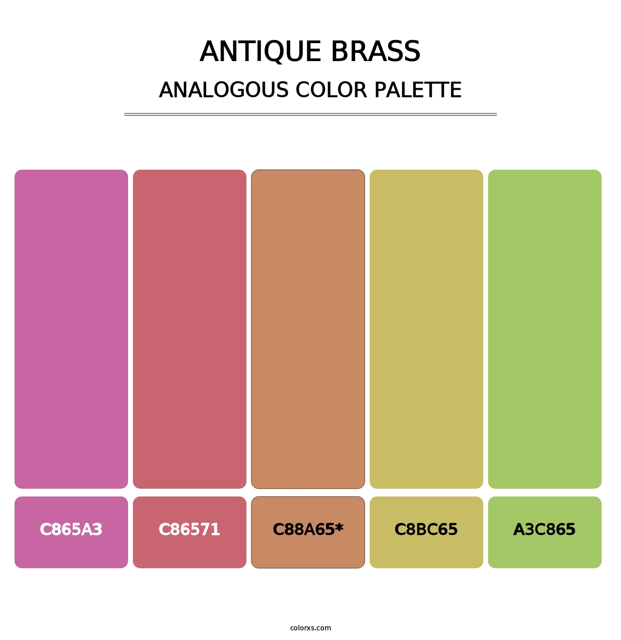 Antique Brass - Analogous Color Palette