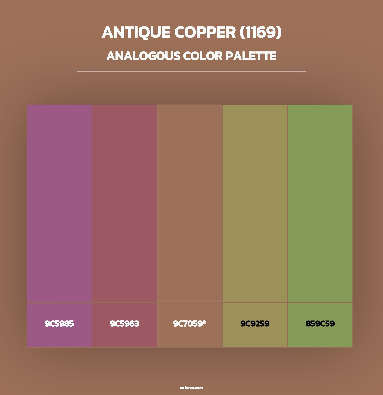 Antique Copper (1169) - Analogous Color Palette