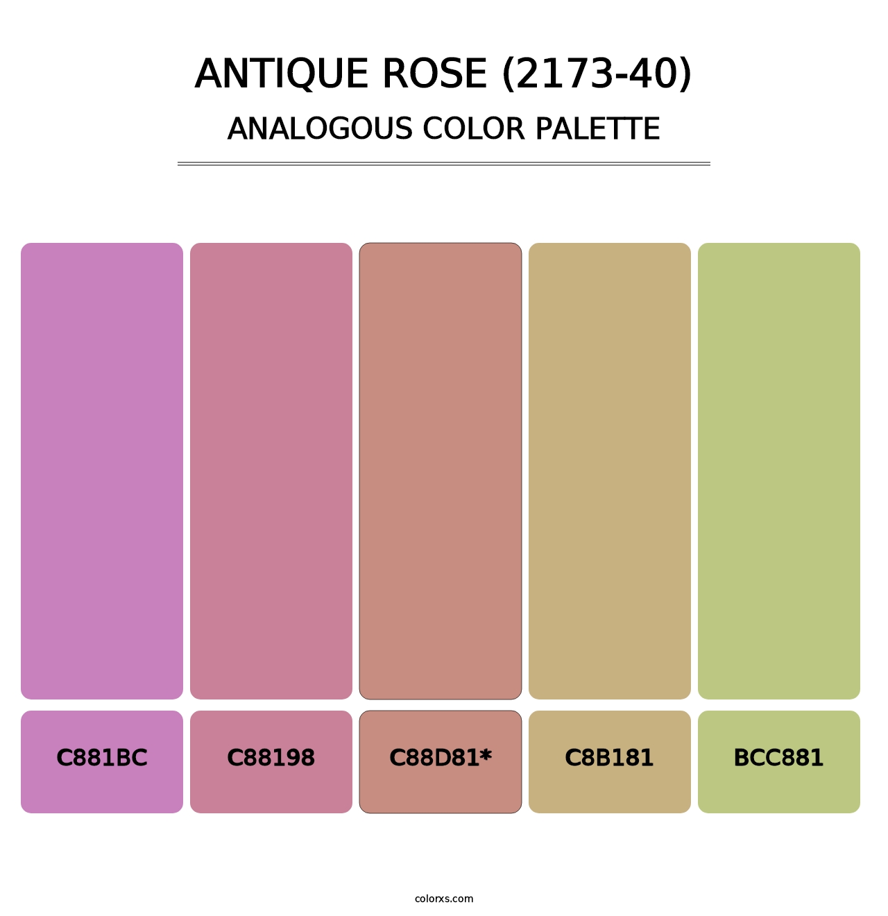 Antique Rose (2173-40) - Analogous Color Palette