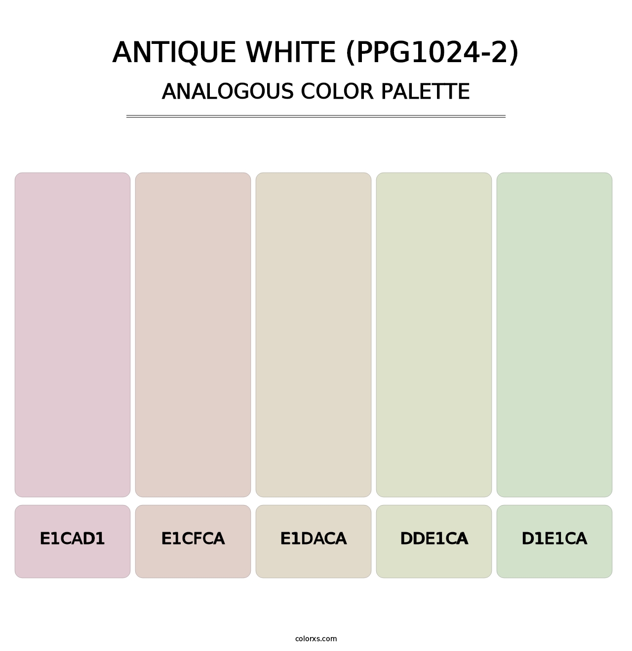 Antique White (PPG1024-2) - Analogous Color Palette