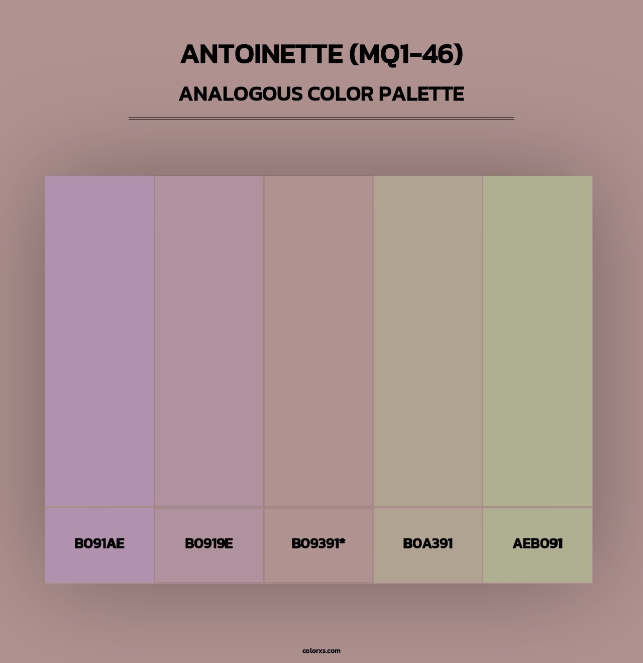 Antoinette (MQ1-46) - Analogous Color Palette