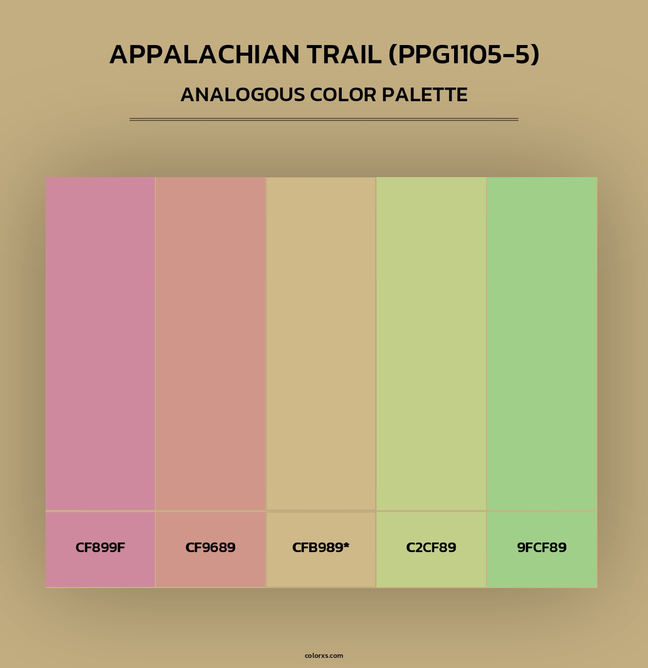Appalachian Trail (PPG1105-5) - Analogous Color Palette