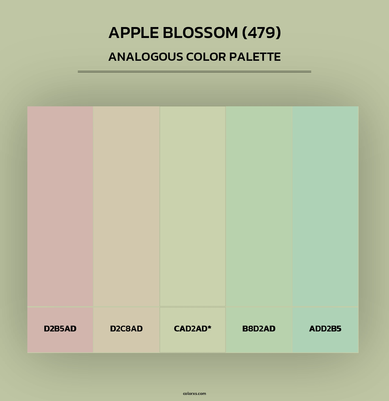 Apple Blossom (479) - Analogous Color Palette