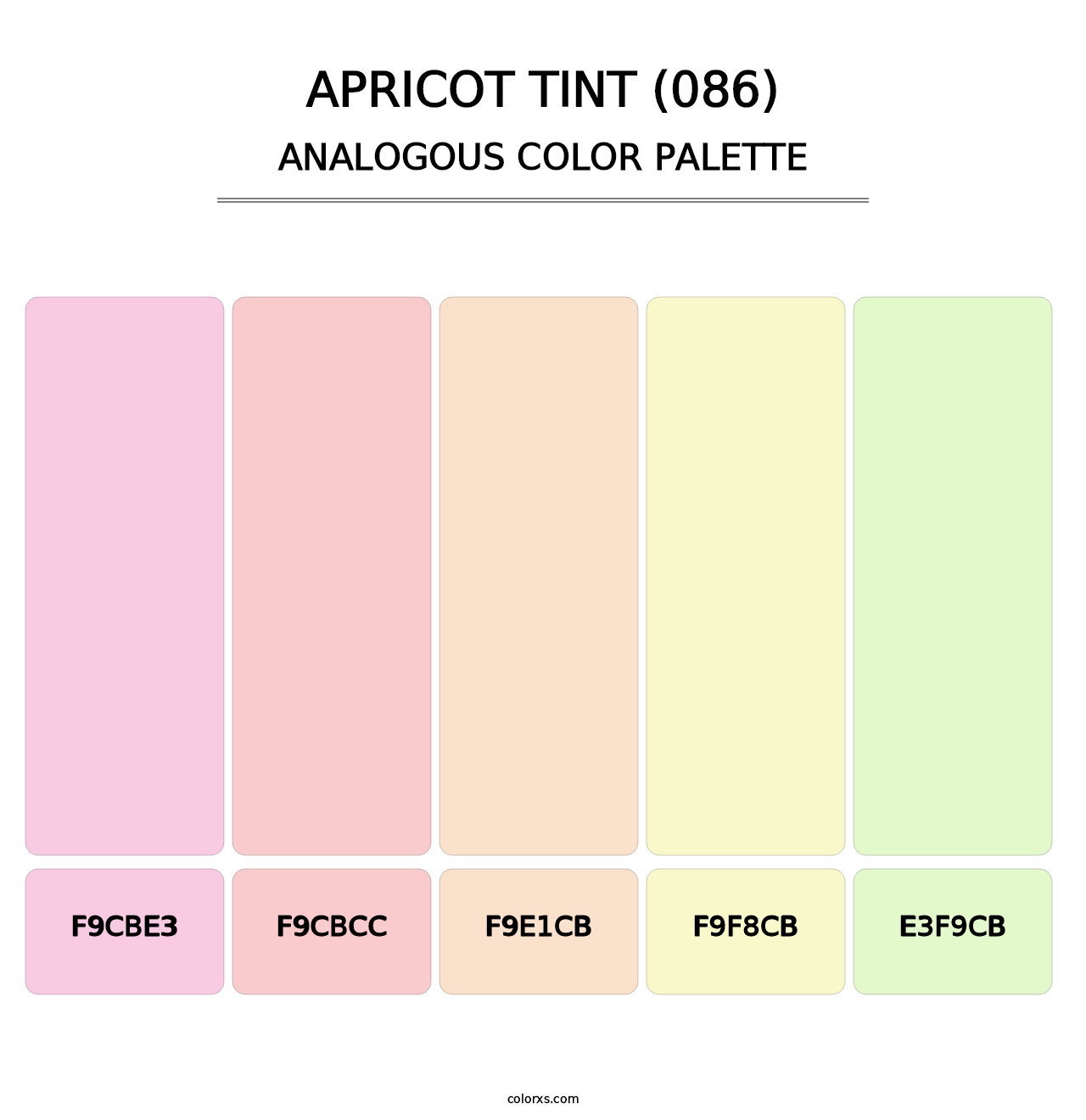 Apricot Tint (086) - Analogous Color Palette
