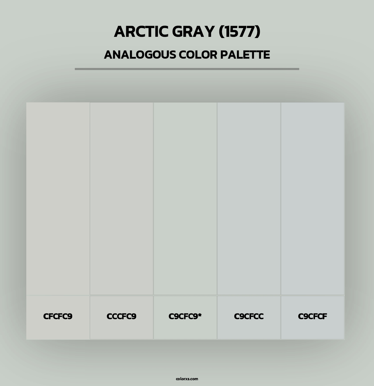Arctic Gray (1577) - Analogous Color Palette