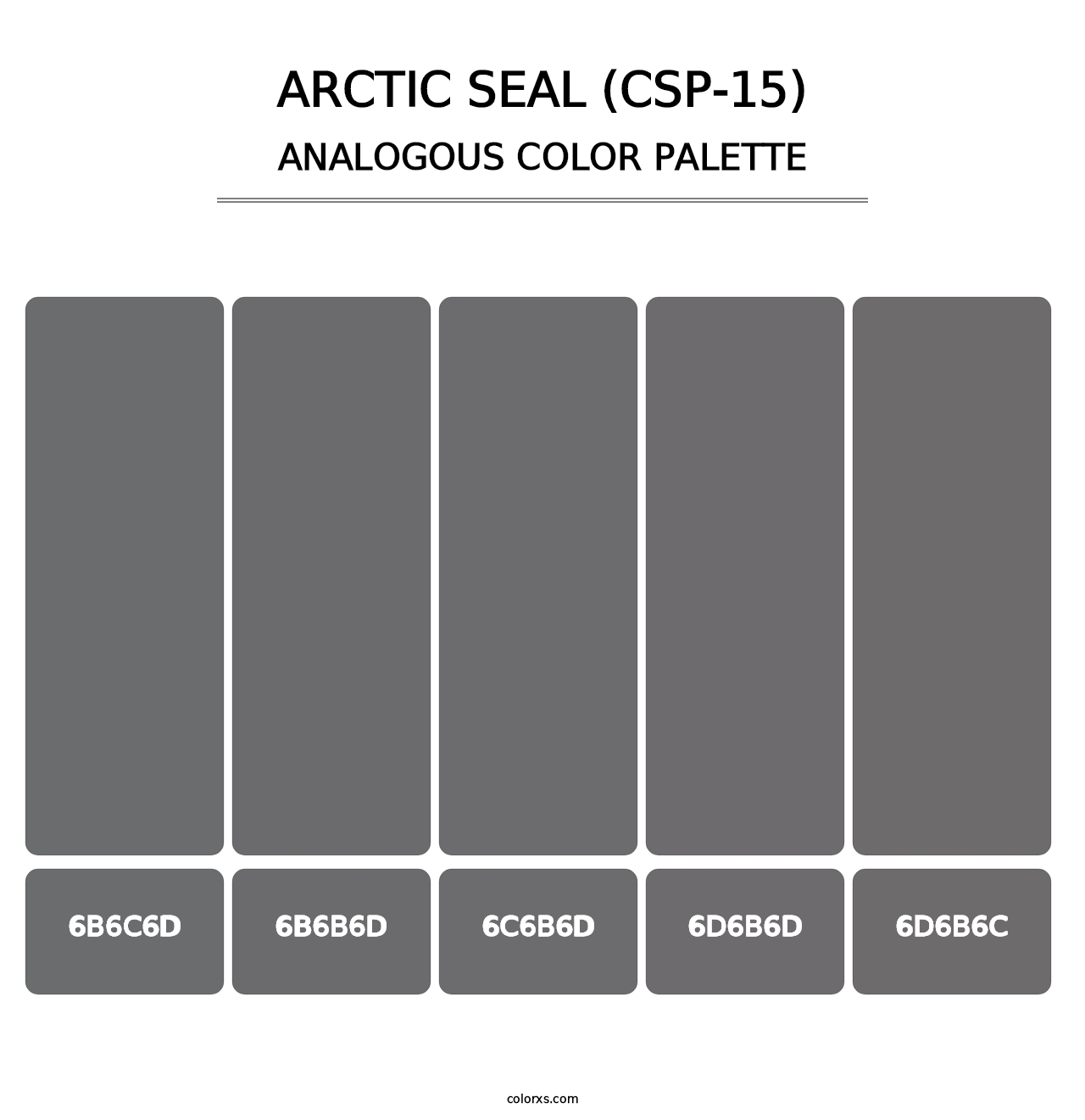 Arctic Seal (CSP-15) - Analogous Color Palette
