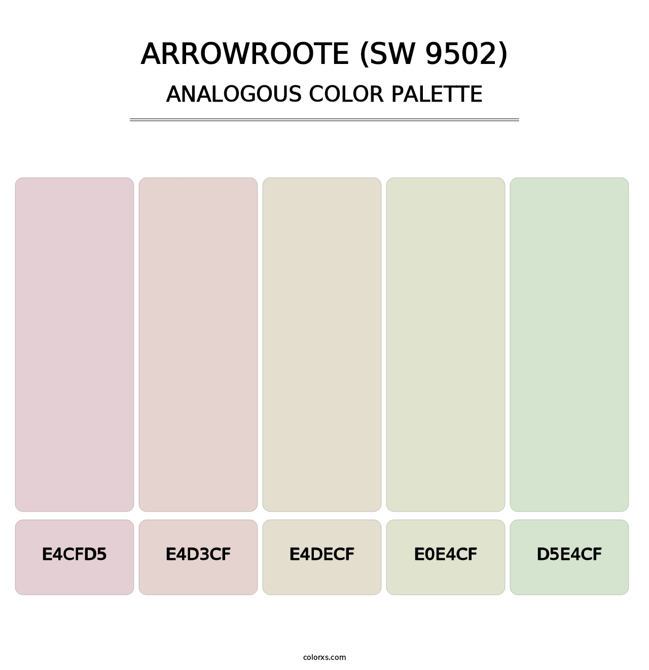 Arrowroote (SW 9502) - Analogous Color Palette