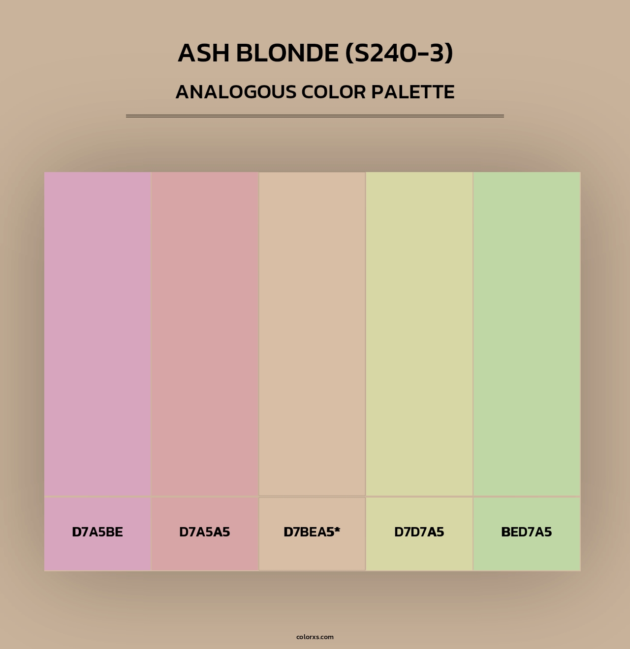 Ash Blonde (S240-3) - Analogous Color Palette