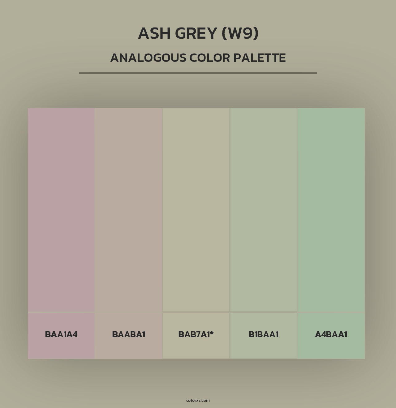 Ash Grey (W9) - Analogous Color Palette