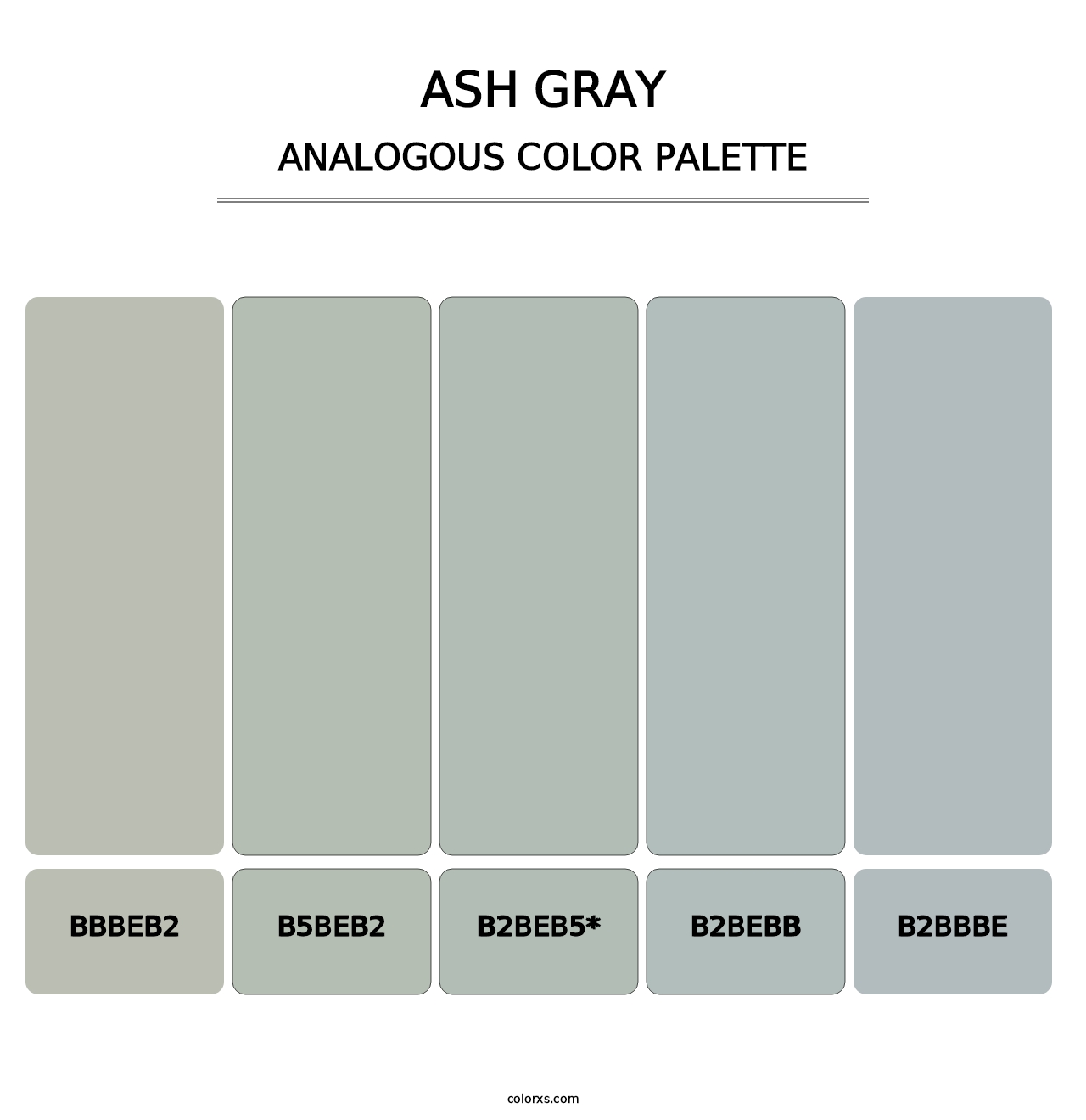 Ash Gray - Analogous Color Palette