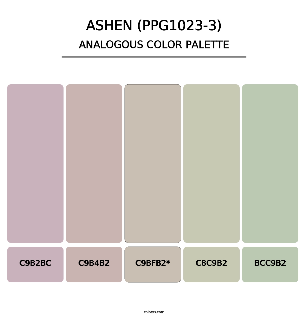 Ashen (PPG1023-3) - Analogous Color Palette