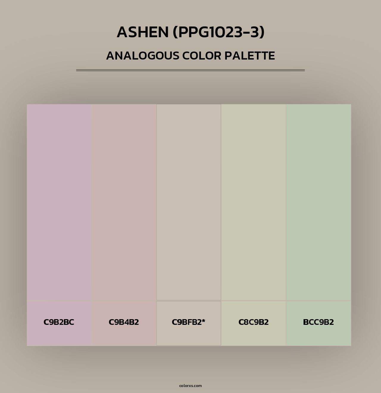 Ashen (PPG1023-3) - Analogous Color Palette