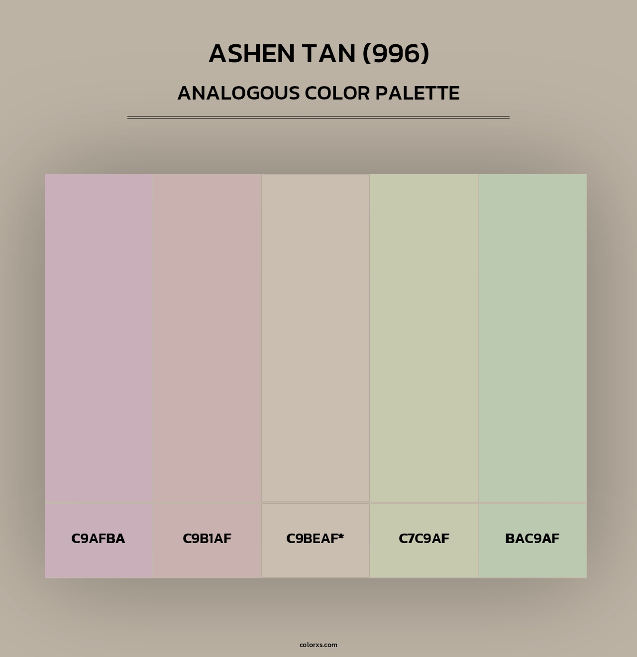 Ashen Tan (996) - Analogous Color Palette