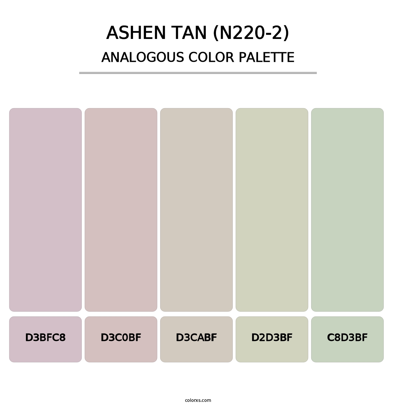 Ashen Tan (N220-2) - Analogous Color Palette