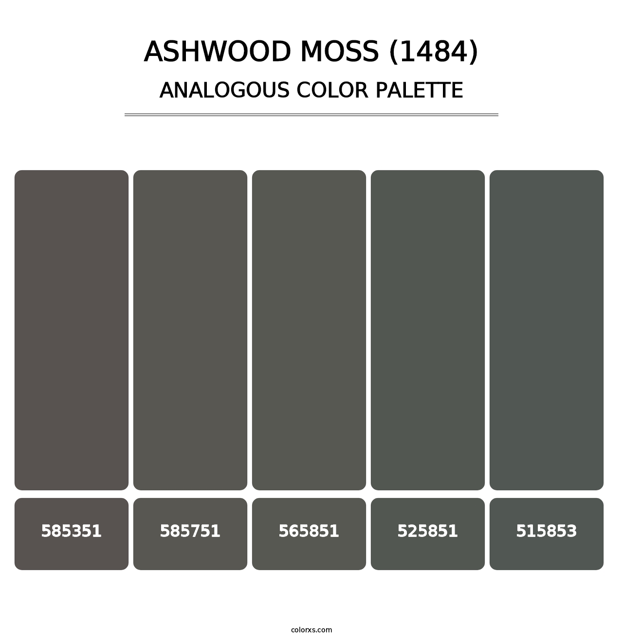 Ashwood Moss (1484) - Analogous Color Palette