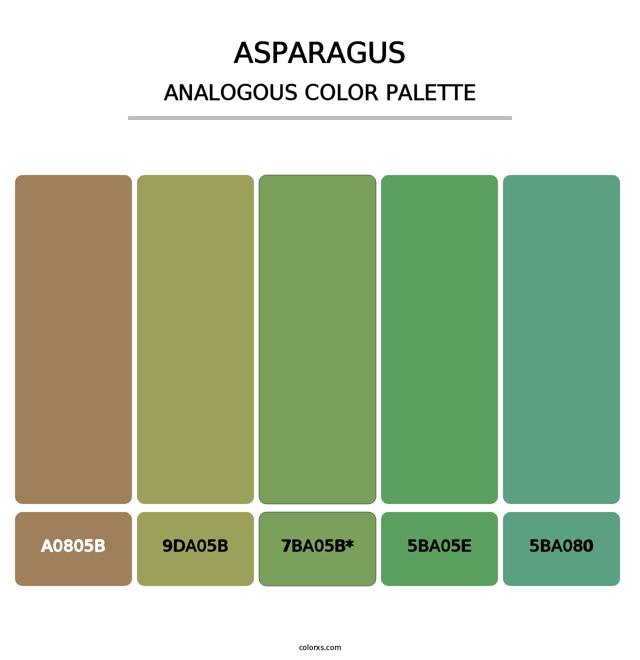 Asparagus - Analogous Color Palette