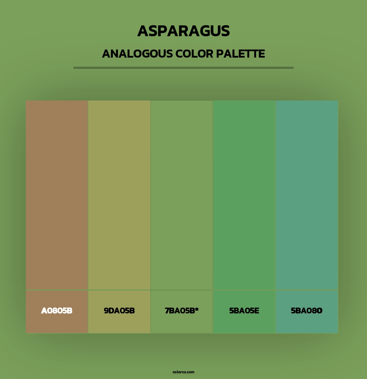 Asparagus - Analogous Color Palette