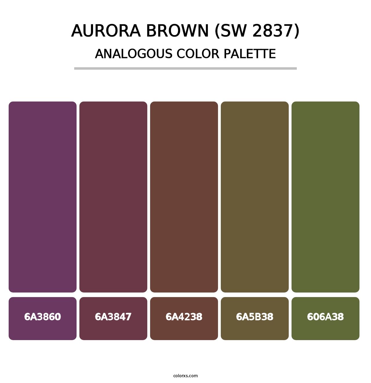 Aurora Brown (SW 2837) - Analogous Color Palette