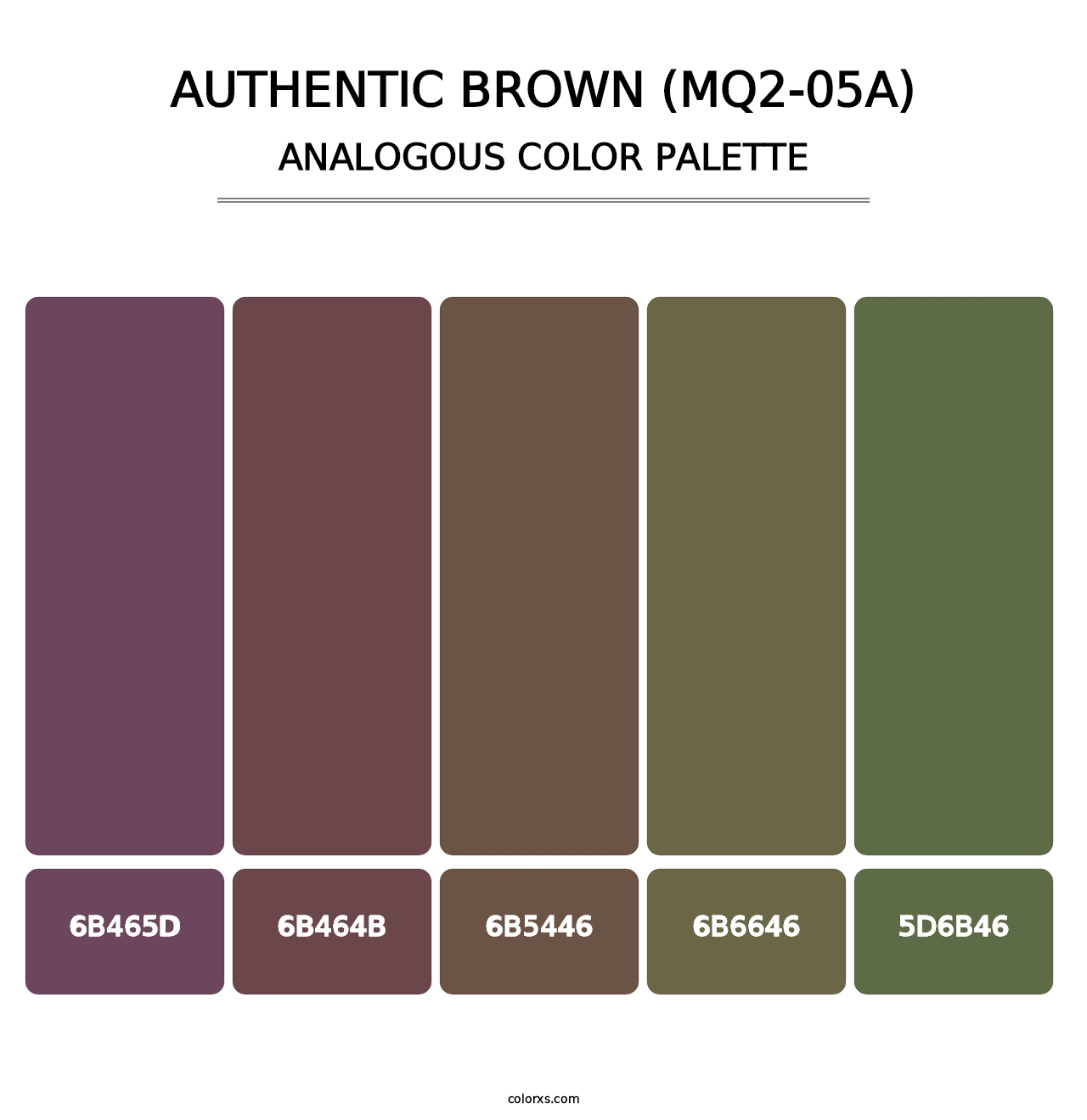 Authentic Brown (MQ2-05A) - Analogous Color Palette