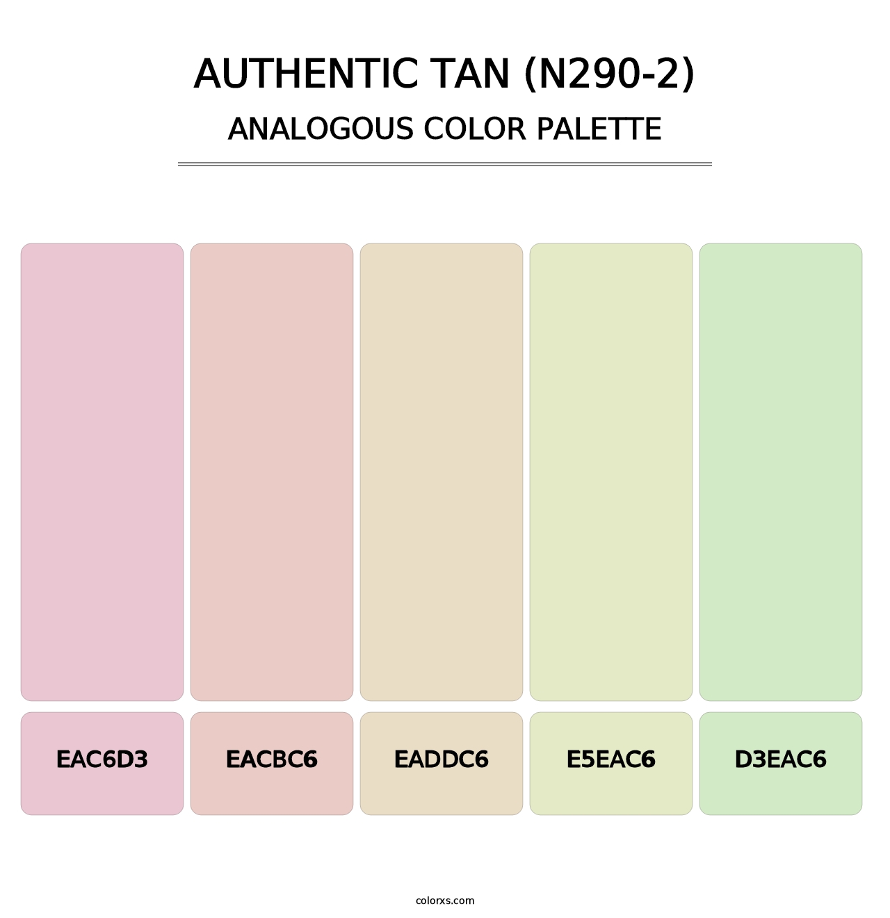 Authentic Tan (N290-2) - Analogous Color Palette