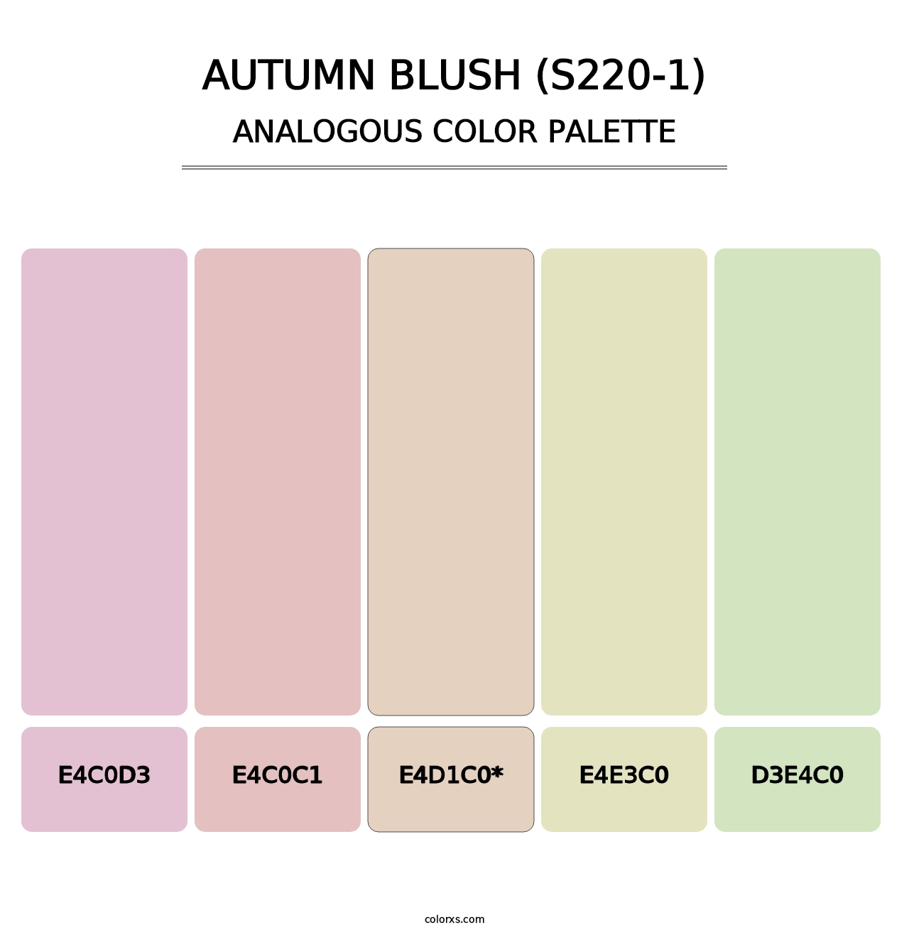 Autumn Blush (S220-1) - Analogous Color Palette