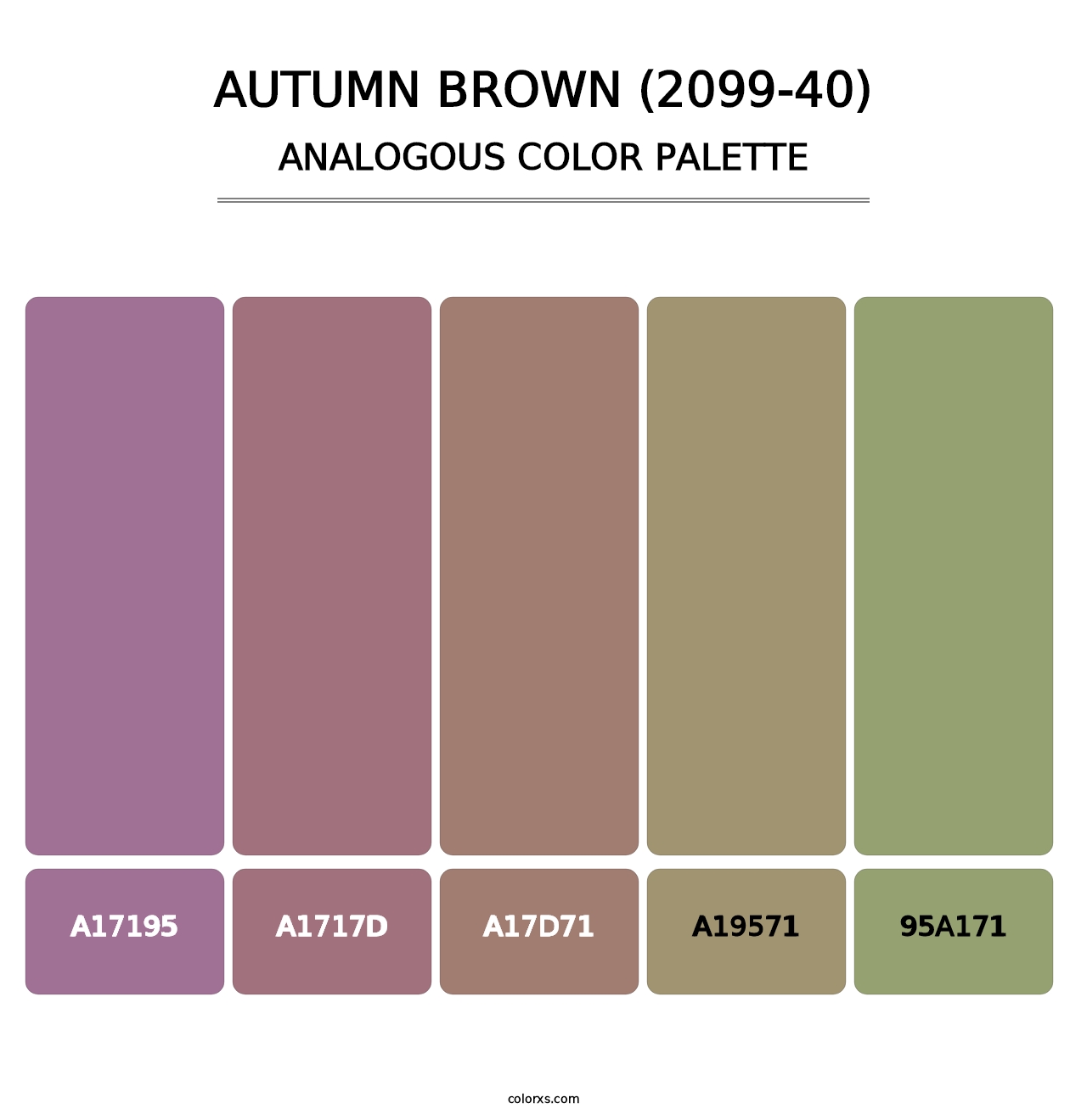 Autumn Brown (2099-40) - Analogous Color Palette