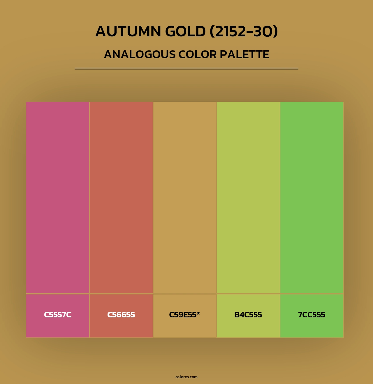 Autumn Gold (2152-30) - Analogous Color Palette