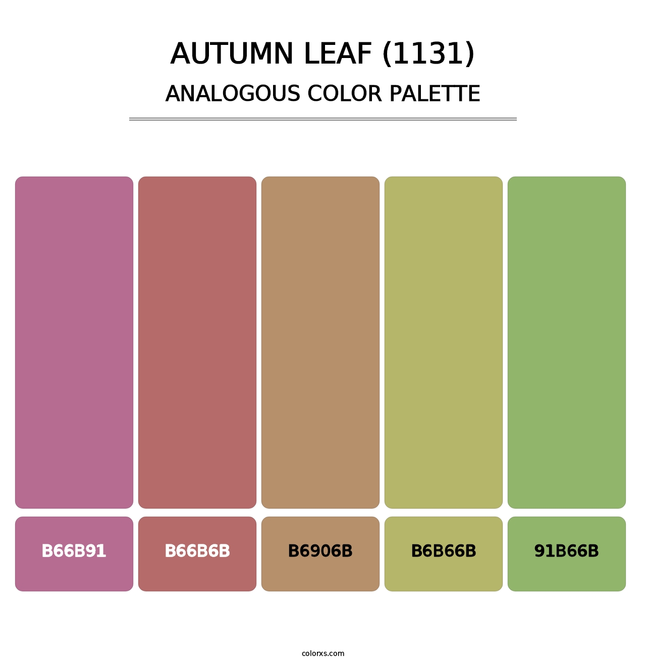 Autumn Leaf (1131) - Analogous Color Palette
