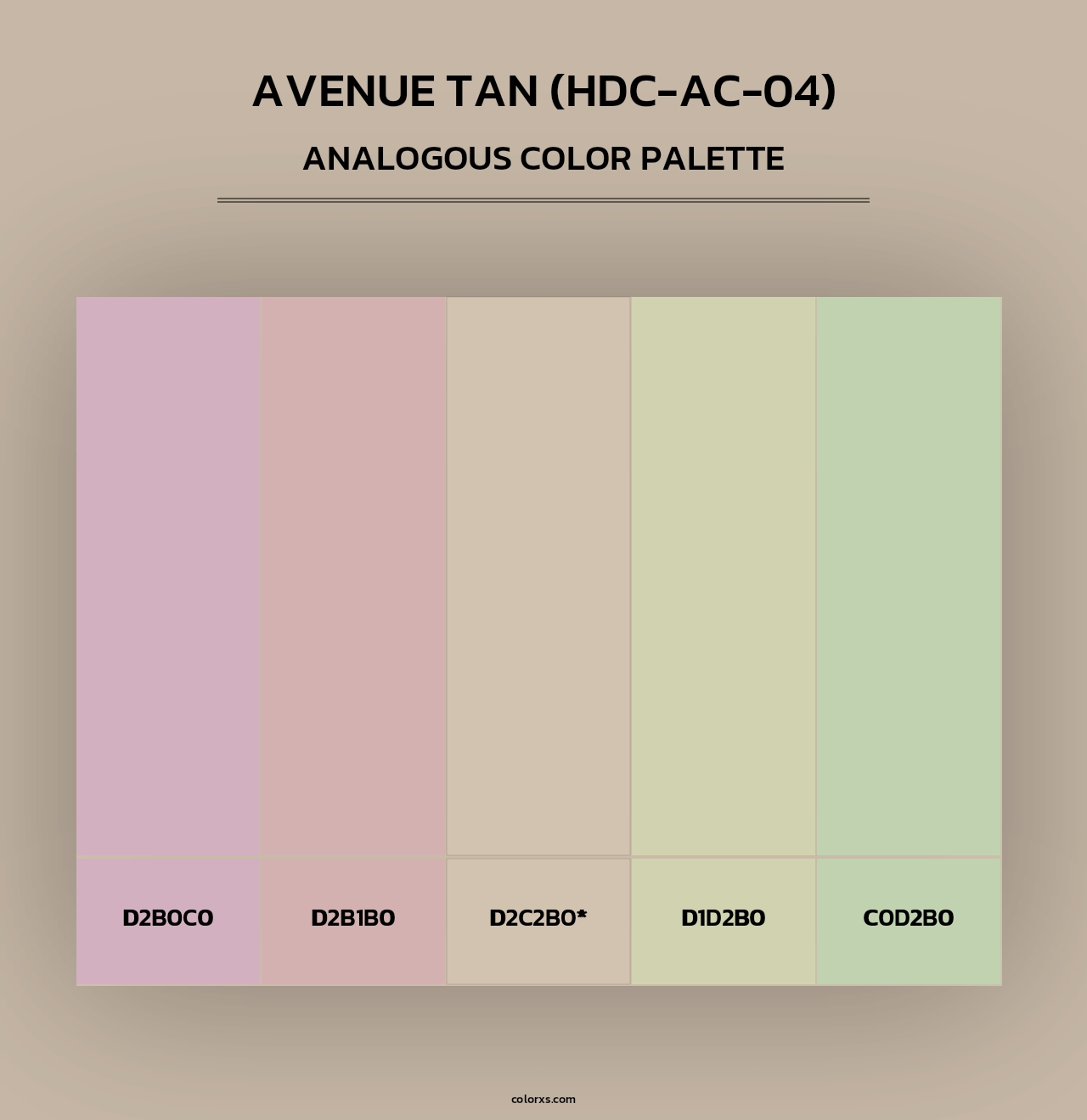 Avenue Tan (HDC-AC-04) - Analogous Color Palette