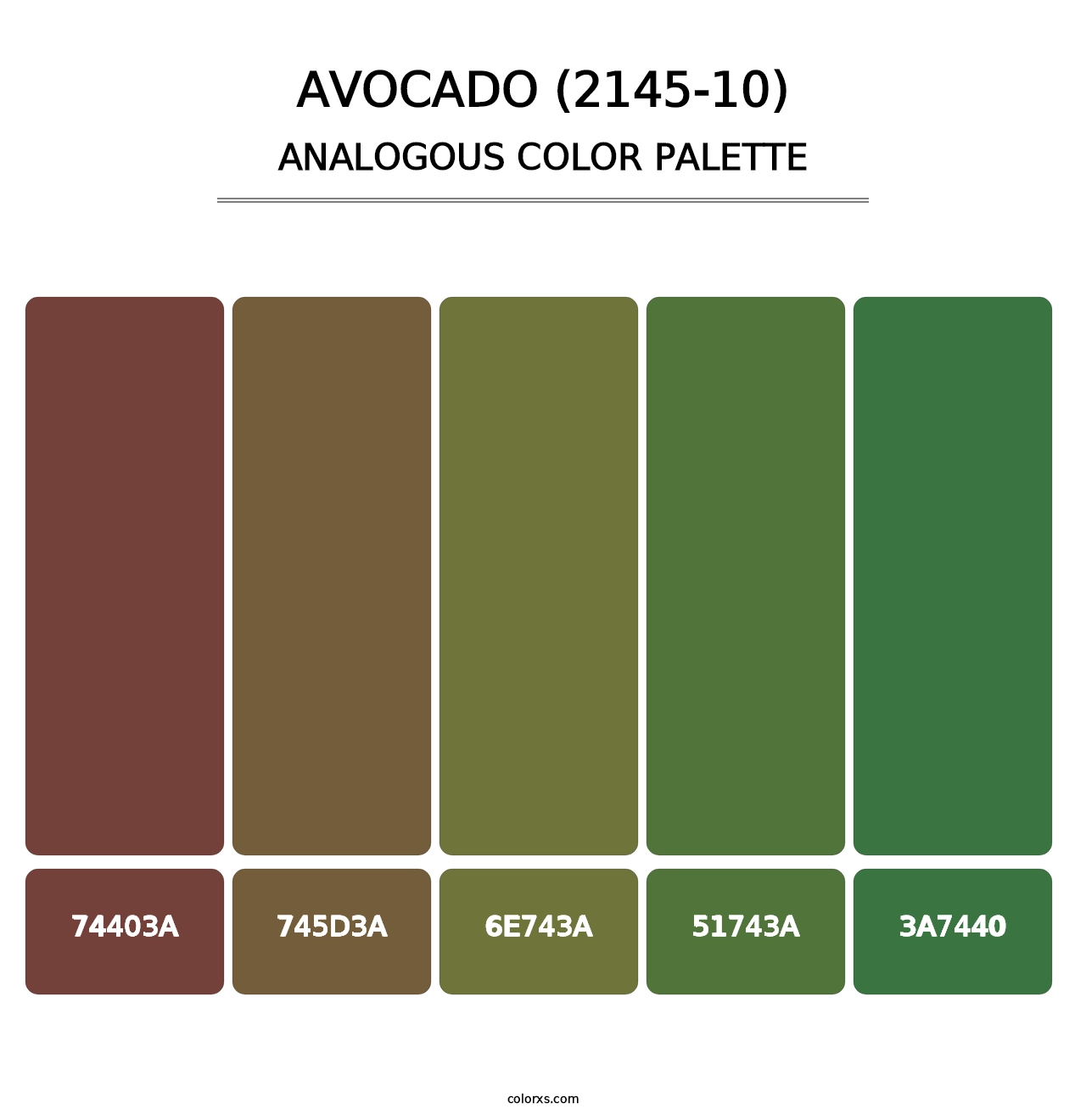 Avocado (2145-10) - Analogous Color Palette