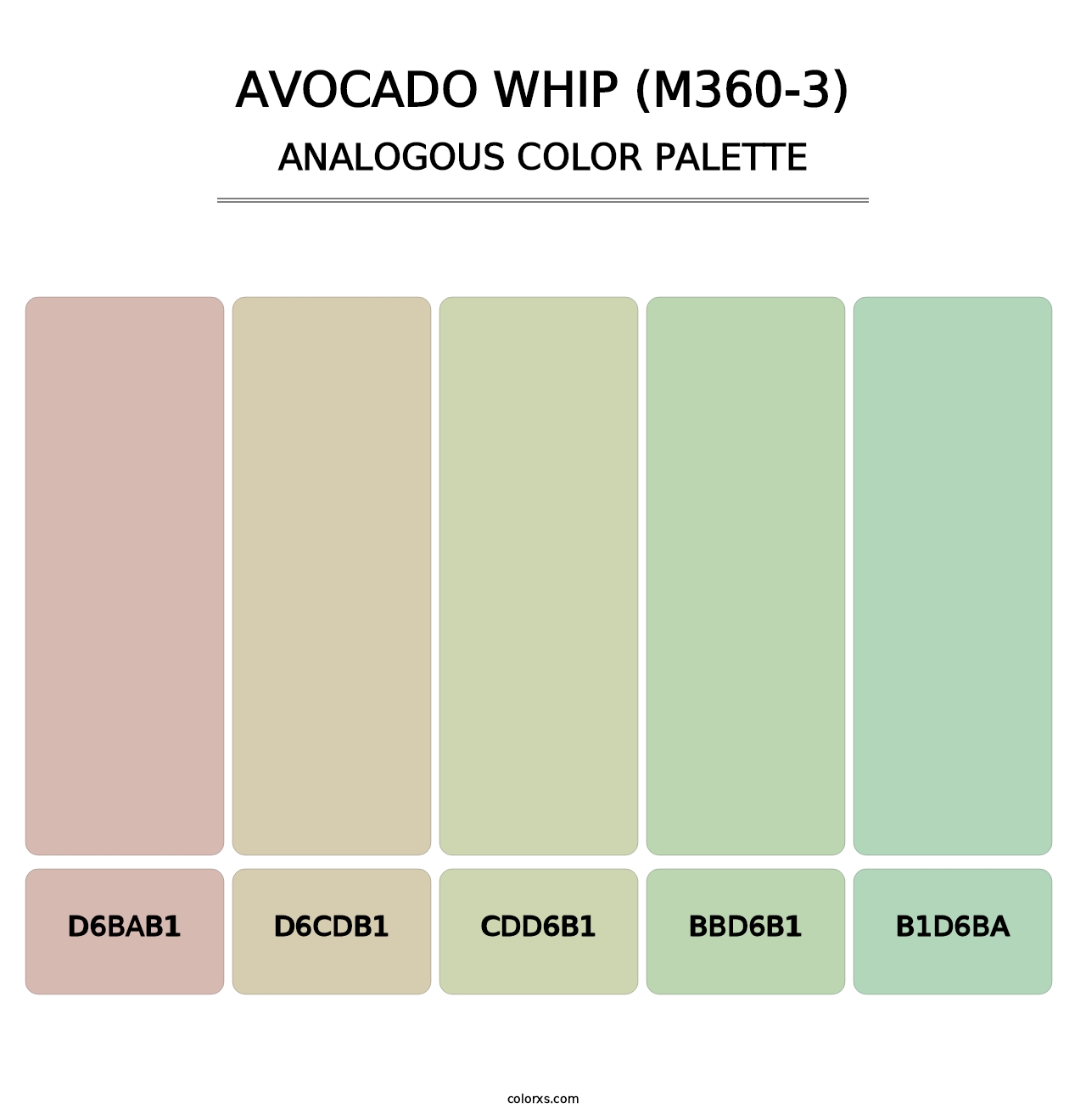 Avocado Whip (M360-3) - Analogous Color Palette