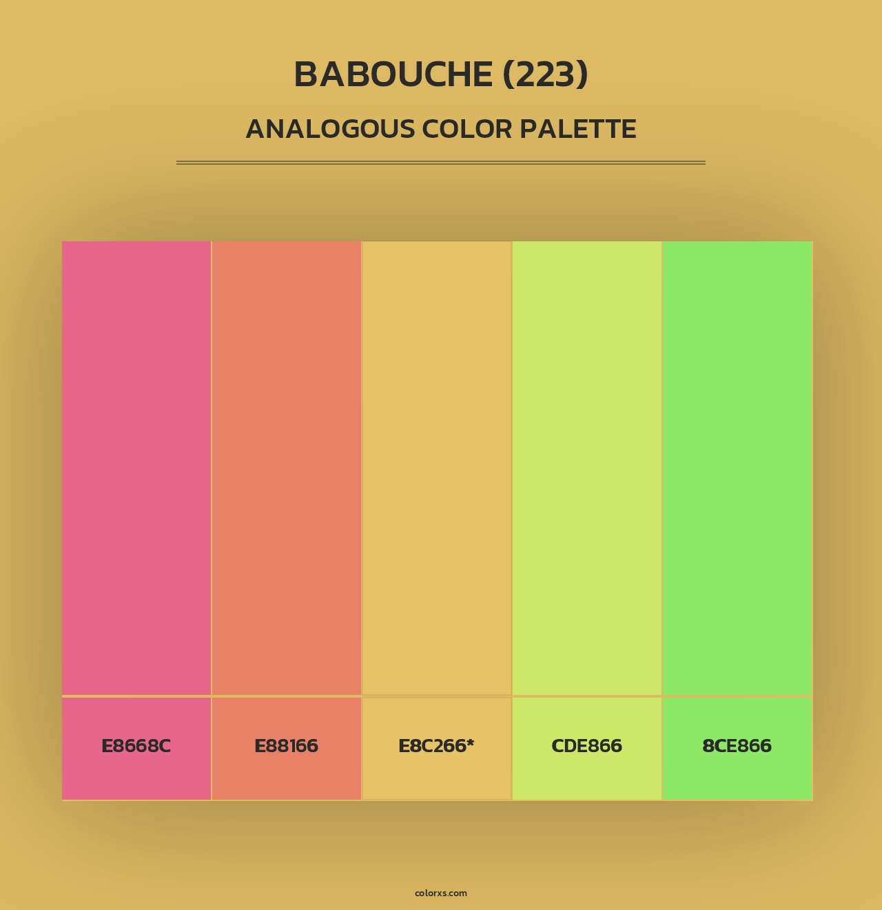 Babouche (223) - Analogous Color Palette