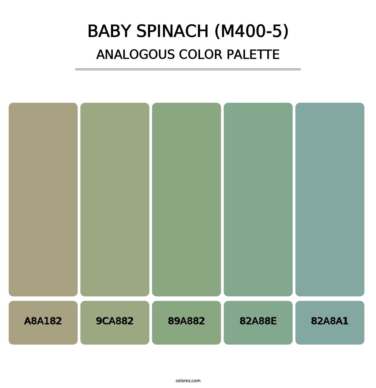 Baby Spinach (M400-5) - Analogous Color Palette