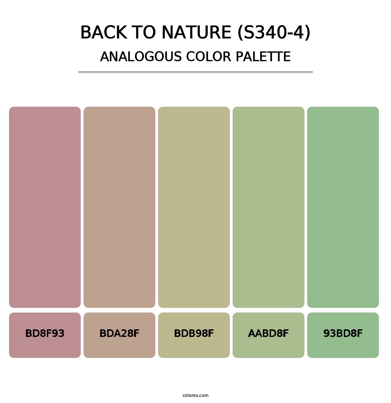 Back To Nature (S340-4) - Analogous Color Palette