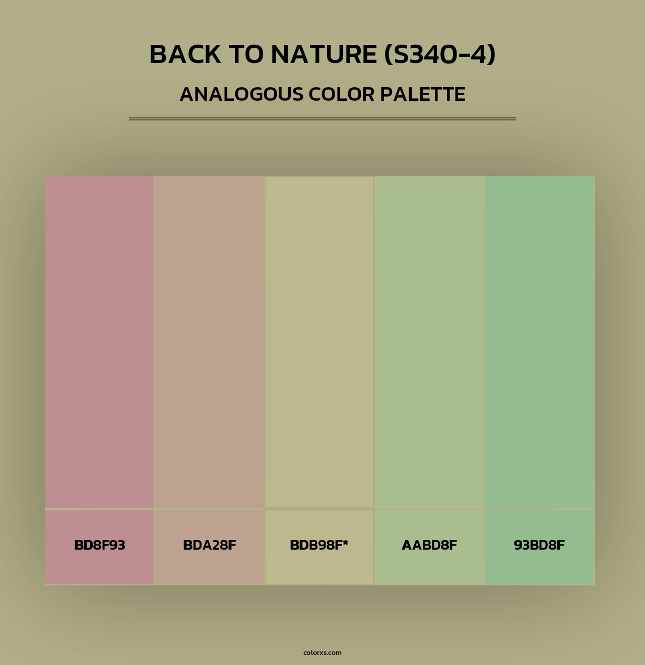 Back To Nature (S340-4) - Analogous Color Palette