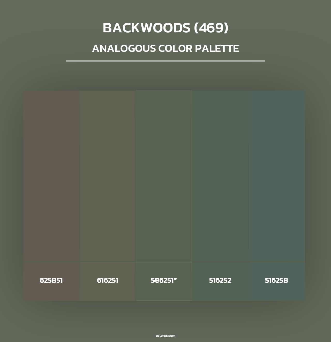 Backwoods (469) - Analogous Color Palette
