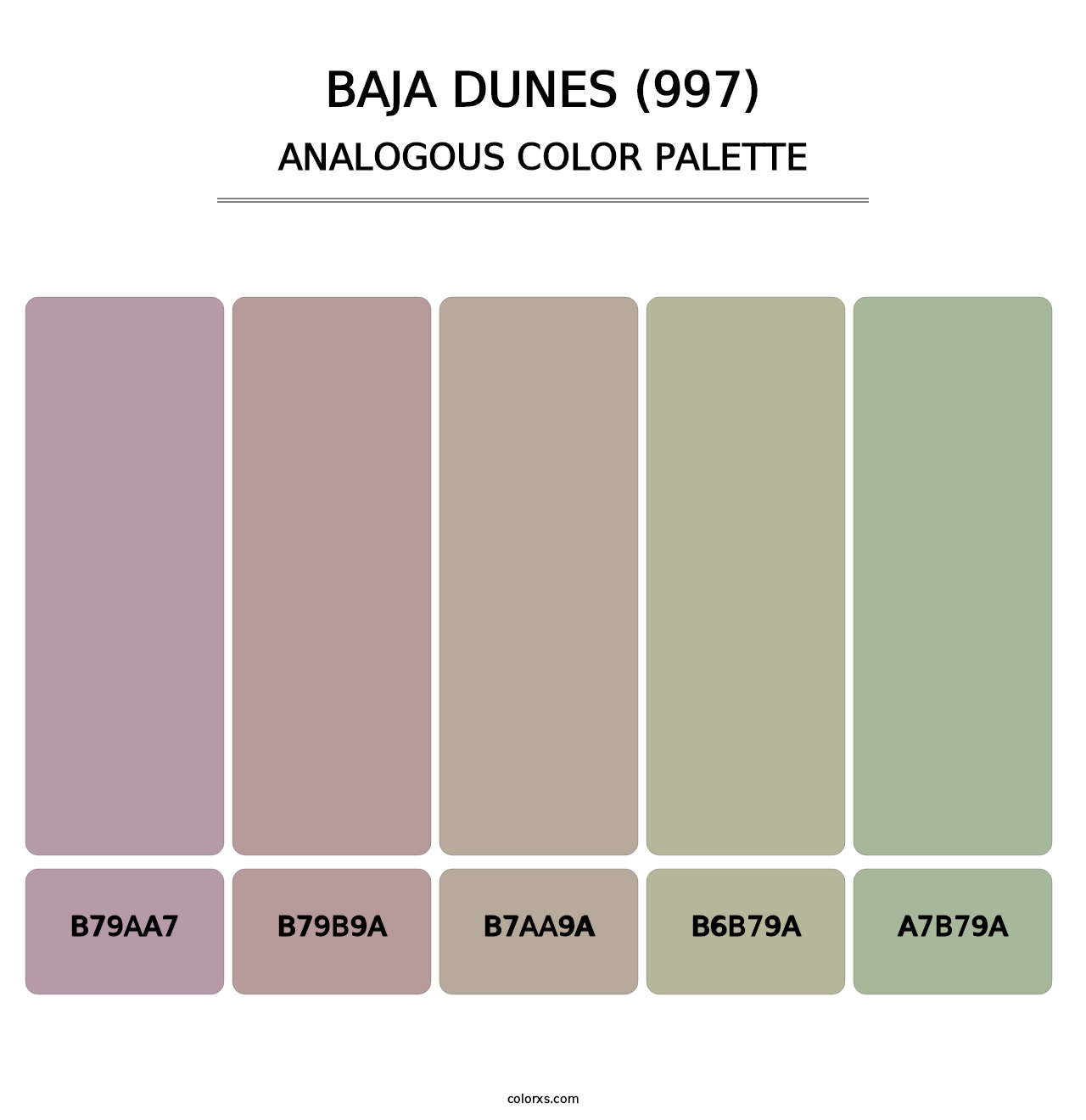 Baja Dunes (997) - Analogous Color Palette