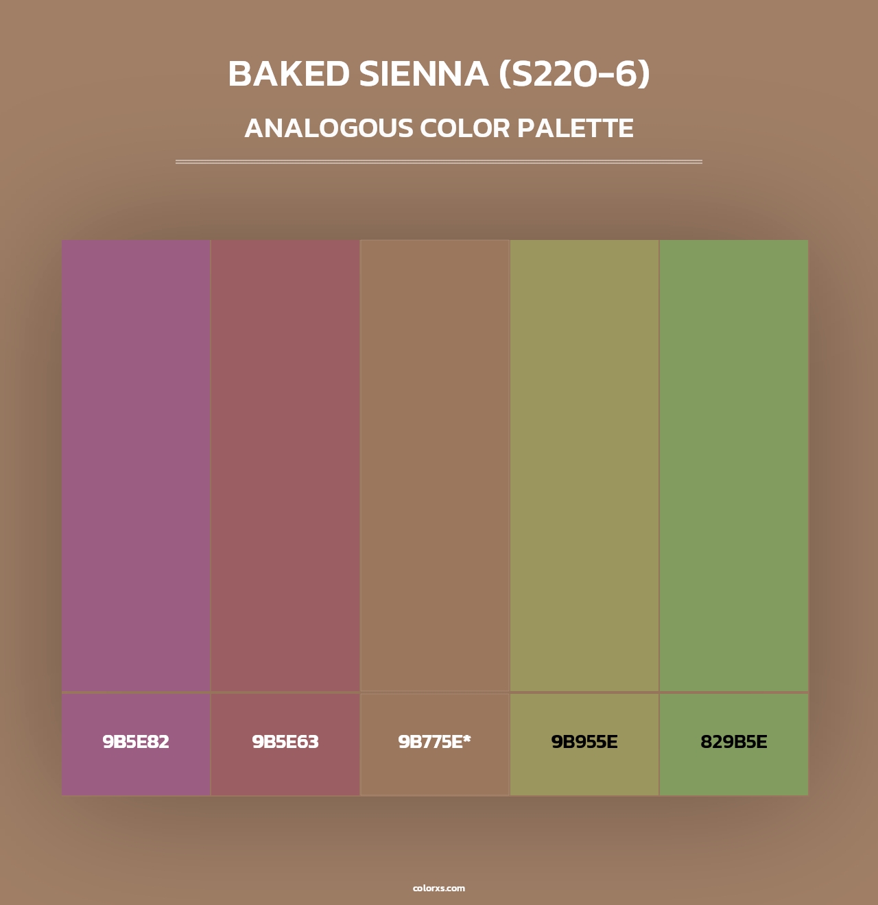 Baked Sienna (S220-6) - Analogous Color Palette