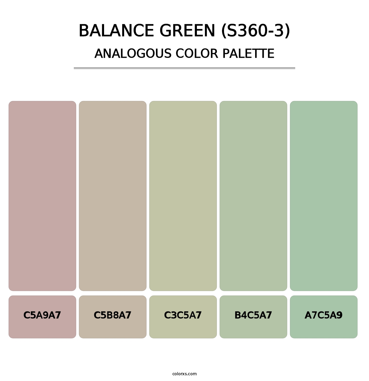 Balance Green (S360-3) - Analogous Color Palette