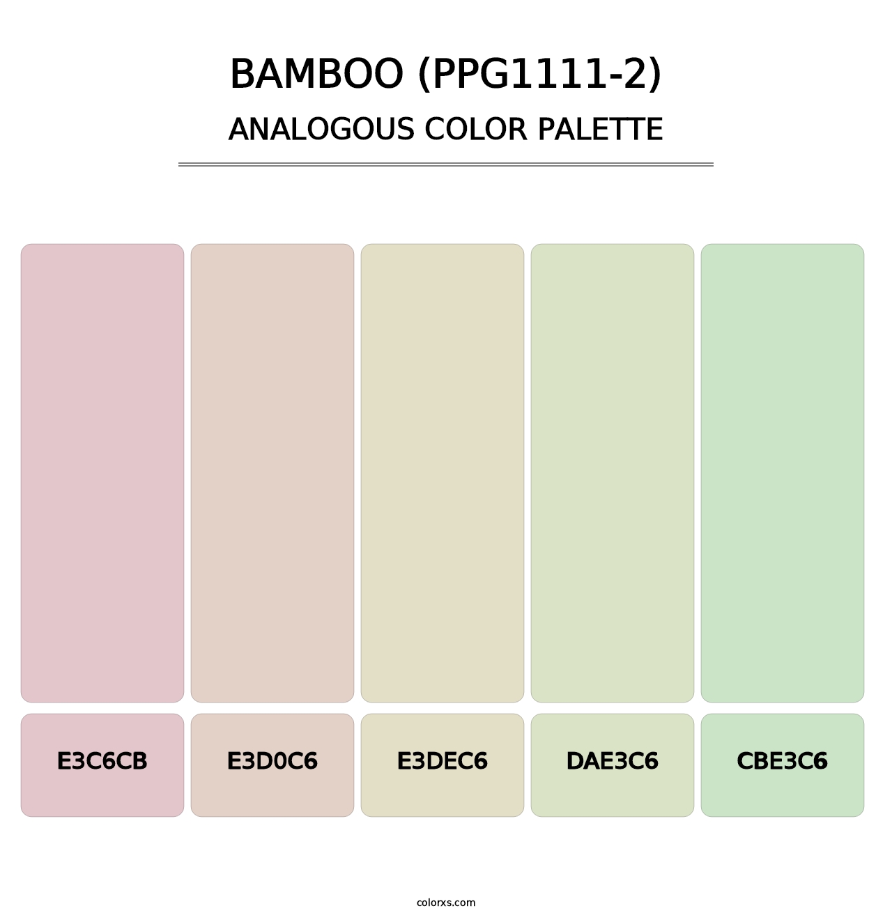 Bamboo (PPG1111-2) - Analogous Color Palette