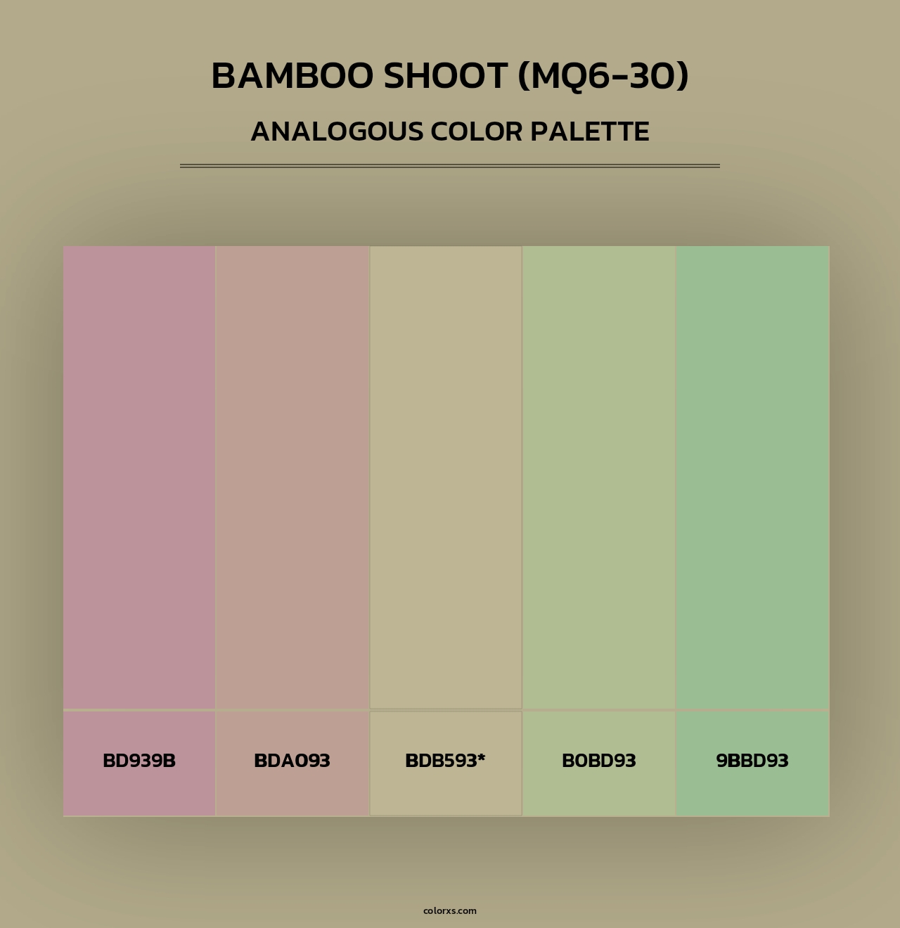 Bamboo Shoot (MQ6-30) - Analogous Color Palette