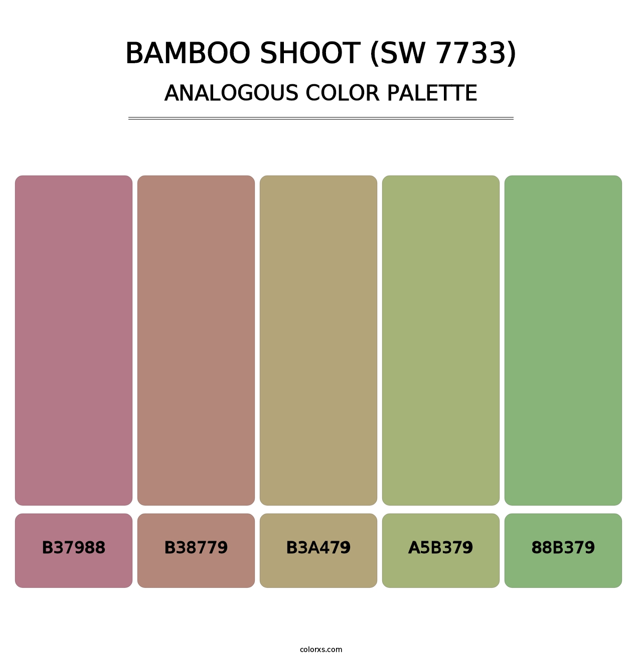 Bamboo Shoot (SW 7733) - Analogous Color Palette