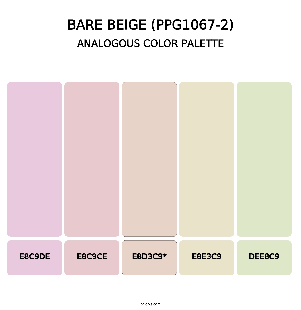 Bare Beige (PPG1067-2) - Analogous Color Palette