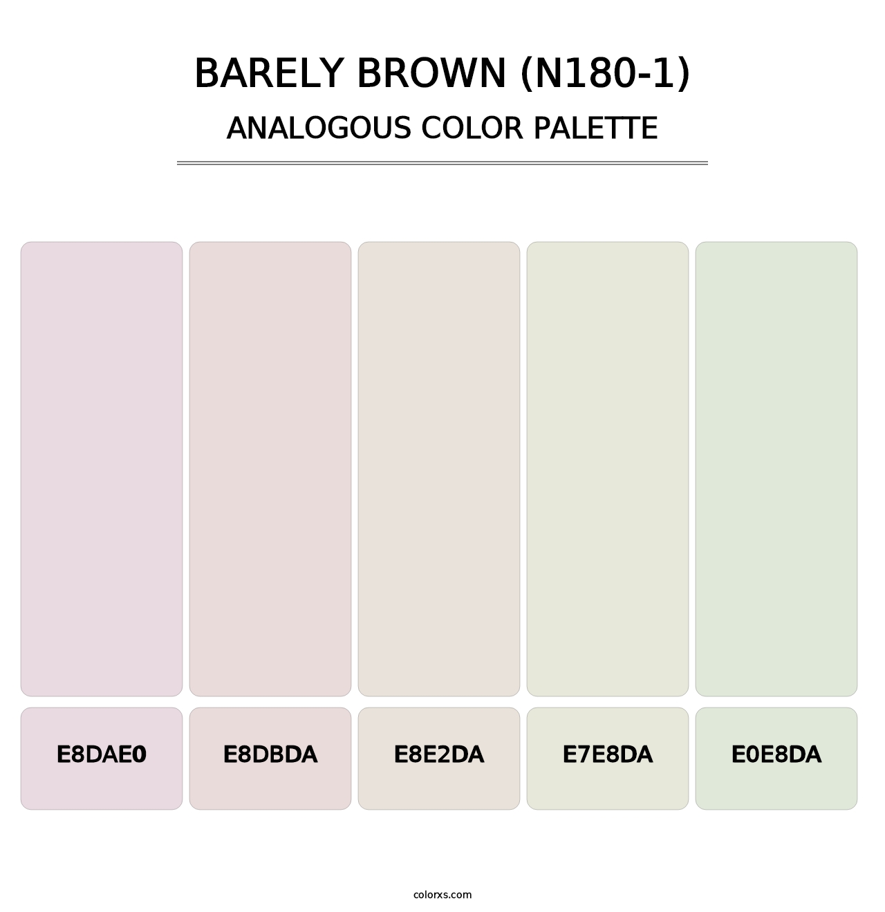 Barely Brown (N180-1) - Analogous Color Palette